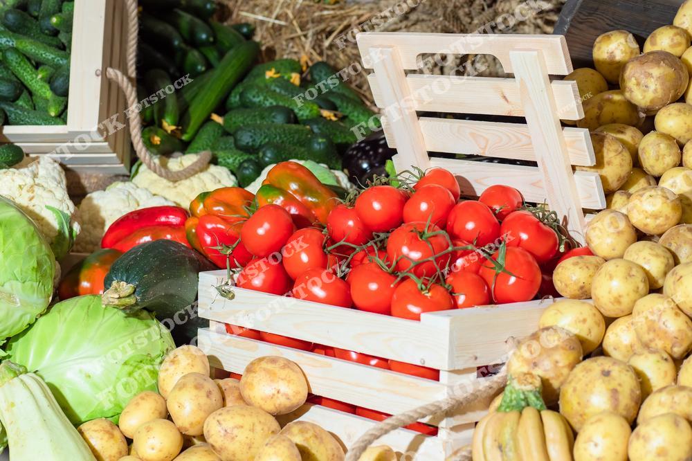 На фотографии представлены фермерские продукты - картофель, помидоры, капуста, огурцы, кабачки. Все овощи свежие и красиво разложены на витрине.